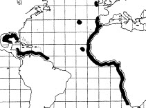 Bathygadus melanobranchus_mapa.jpg